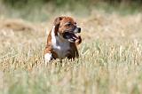 STAFFIE 132